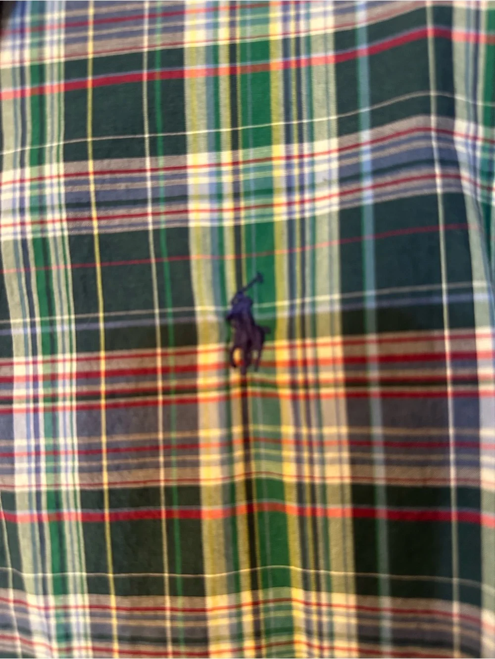 Ralph Lauren embroidered ralph